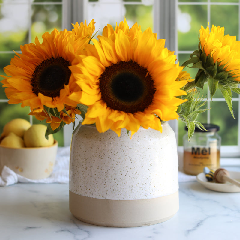 Utensil Pot from Glosters