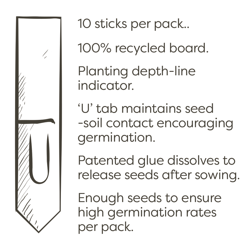 Bee Seedsticks®